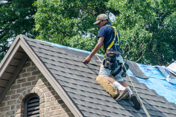 Best Residential Roofing Contractor  in Cary, NC